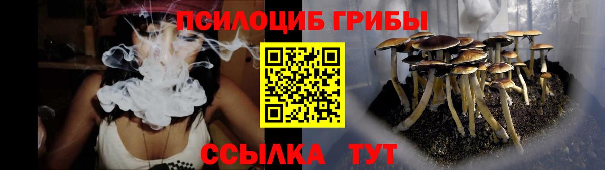 Галлюциногенные грибы мицелий  Вход с VPN  Новочебоксарск 